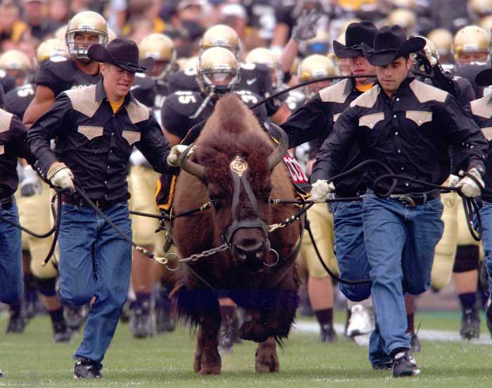 Ralphie Horizontal - Photo Credit University of Colorado Athletics